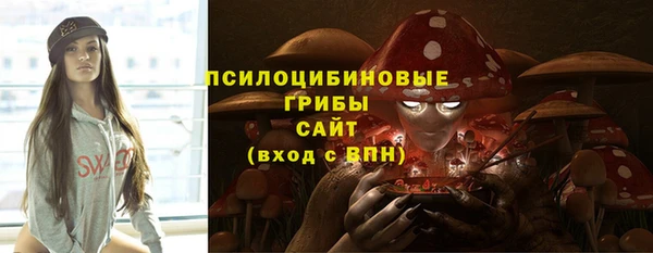 эйфоретик Бородино
