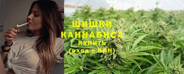 эйфоретик Бородино
