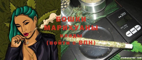 эйфоретик Бородино